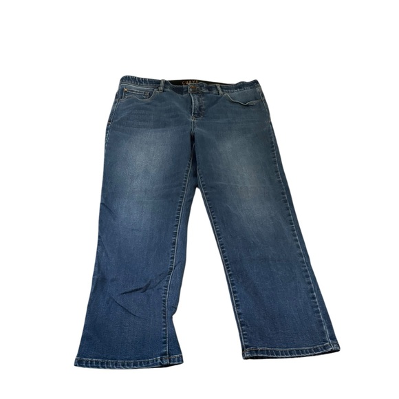 Curve Appeal Denim - Curve Appeal Women's Flare Jeans in Classic Blue 14 EUC